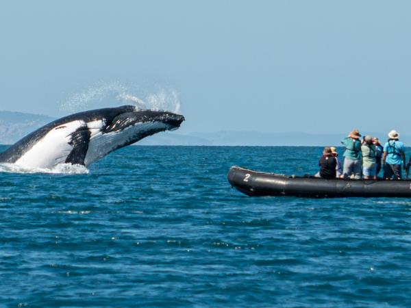 Kimberley Coast cruise in Australia