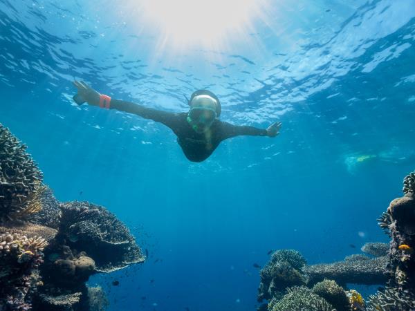 Micronesia & Solomon Islands cruise