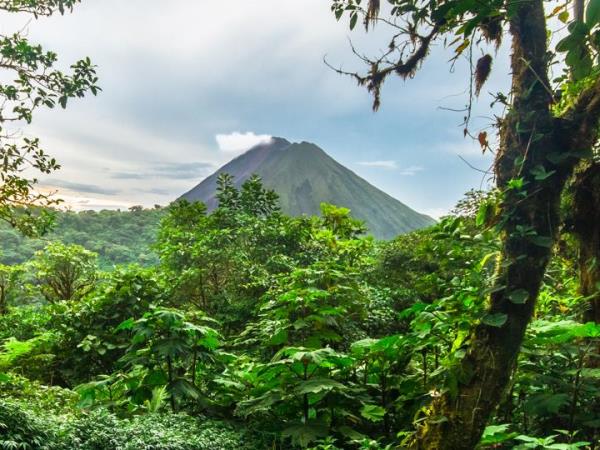 Costa Rica self drive vacation, natural history