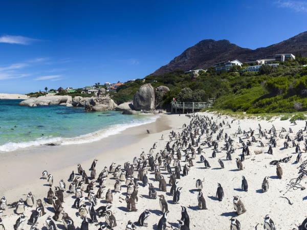South Africa luxury tailor made vacation
