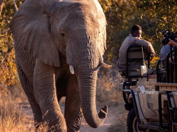 South Africa luxury tailor made vacation