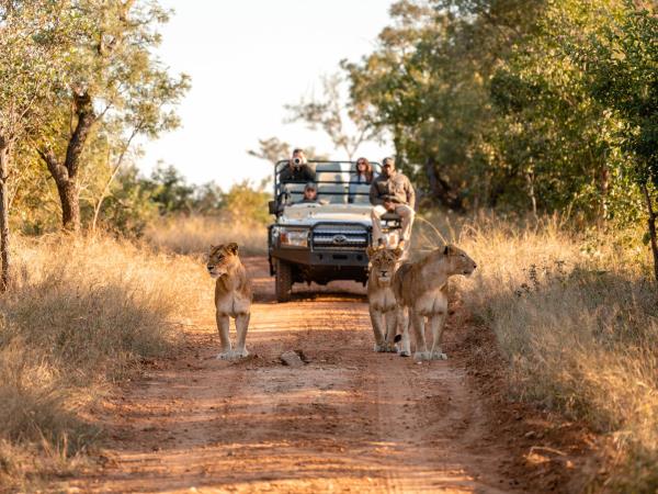South Africa luxury tailor made vacation