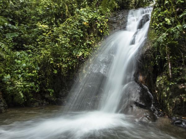 Ecuador highlights & Galapagos island hopping vacation