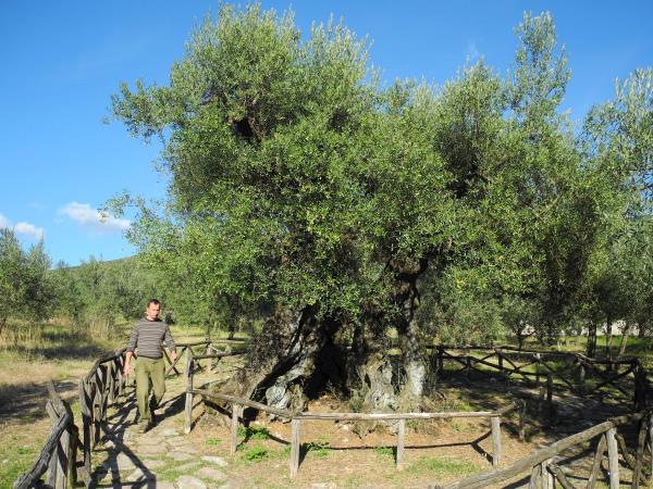 Umbria small group hiking vacation
