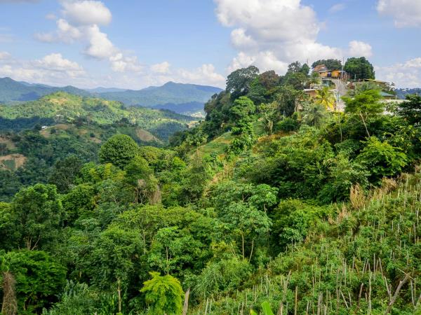 Trinidad & Tobago nature vacation