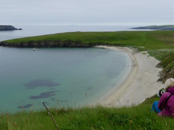 Shetland wildlife vacation, Scotand