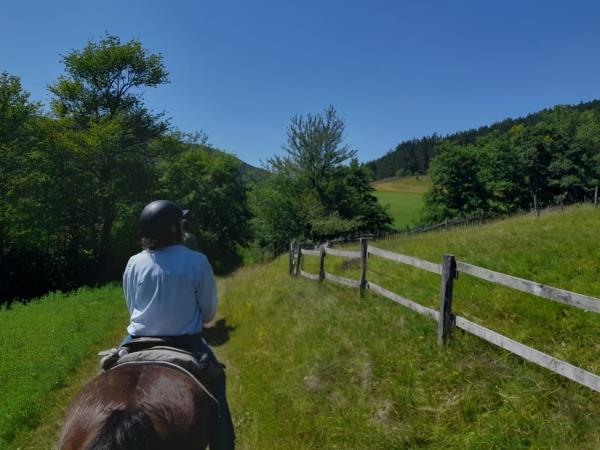 Serbia horse riding adventure vacation