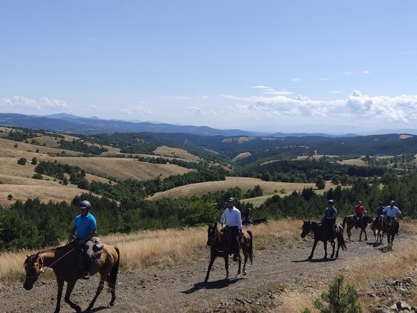 Serbia horse riding adventure vacation