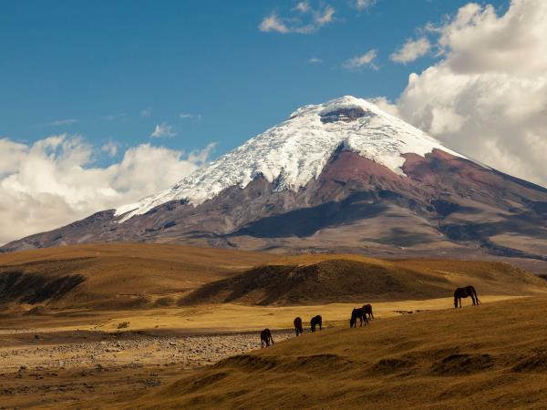 Ecuador walking vacation, tailormade