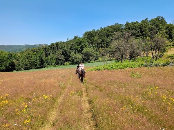 Serbia horse riding vacation, Taor Trail