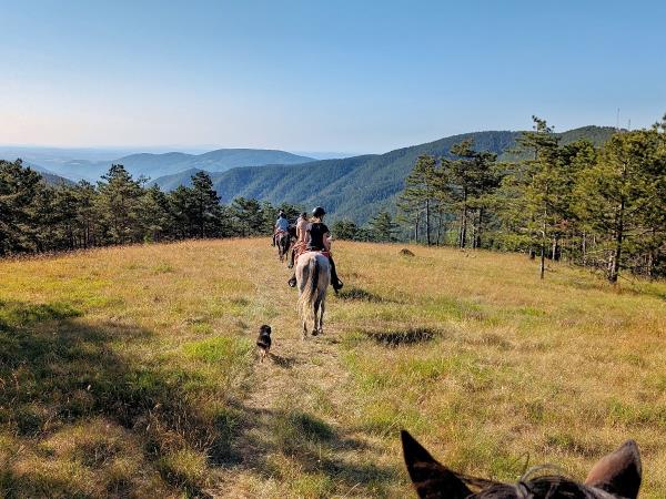 Serbia horse riding vacation, Taor Trail