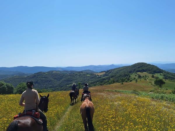 Serbia horse riding vacation, Taor Trail
