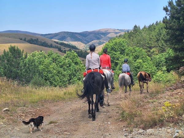 Serbia horse riding vacation, Taor Trail
