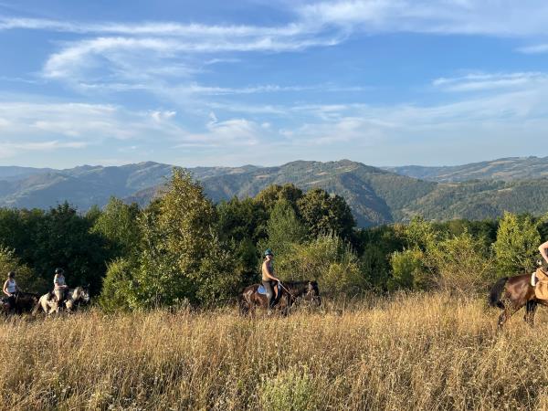 Horse riding holiday in Serbia