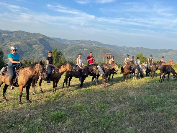 Horse riding holiday in Serbia