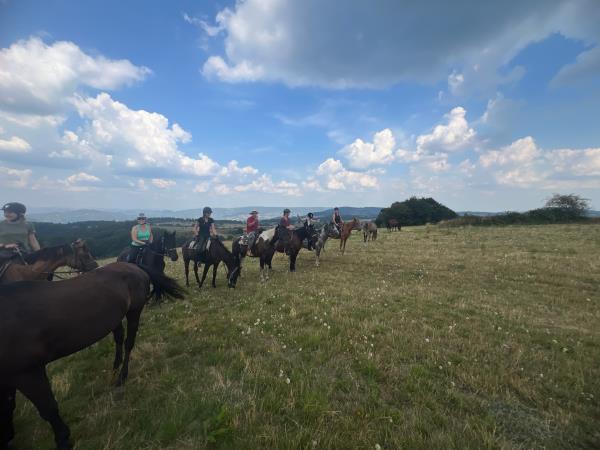 Horse riding holiday in Serbia