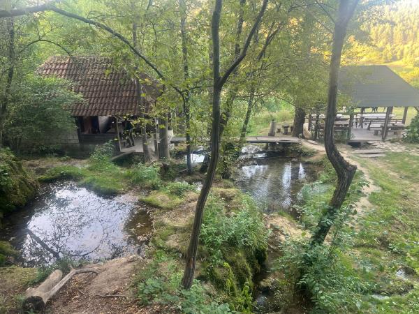 Horse riding holiday in Serbia