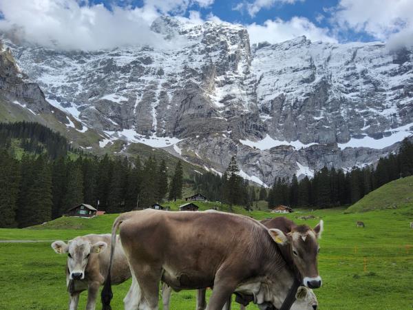 Switzerland hiking short break