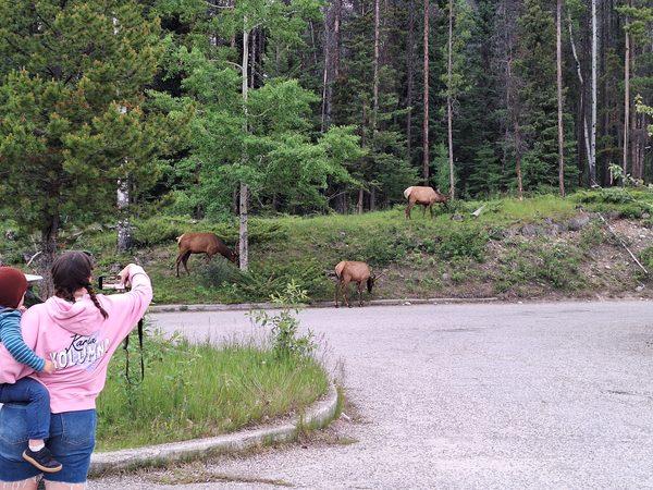 West Canada self drive family vacation