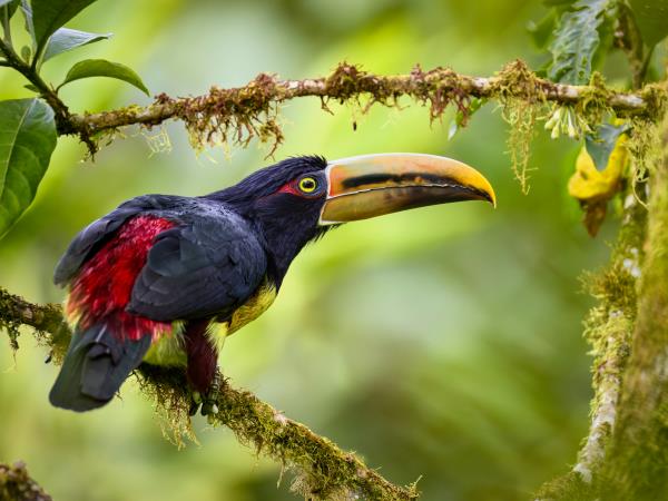 Galapagos & Ecuador tailor made vacations