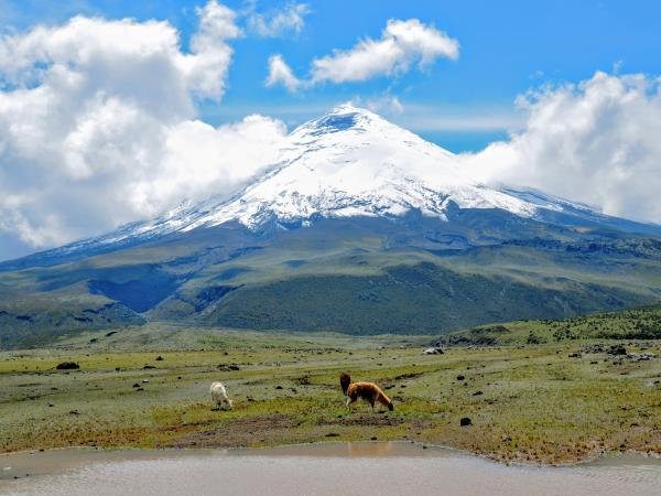 Galapagos & Ecuador tailor made vacations