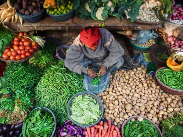India yoga and wellness retreat