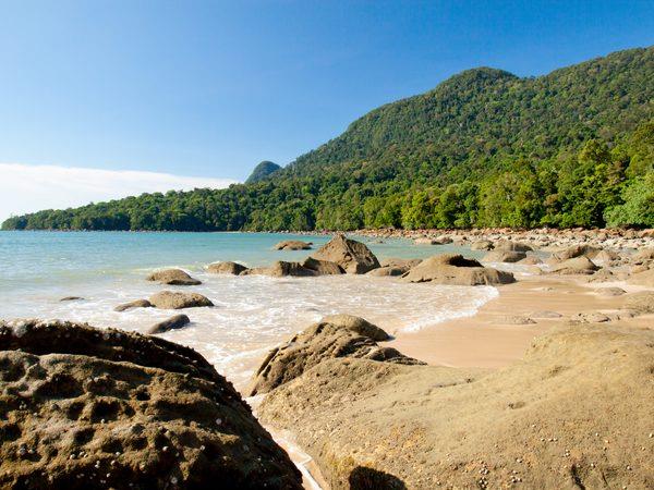 Borneo with teenagers vacation