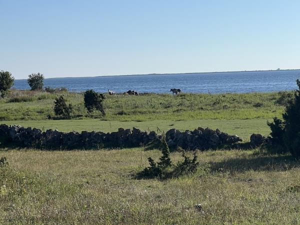 Estonia wellness vacation