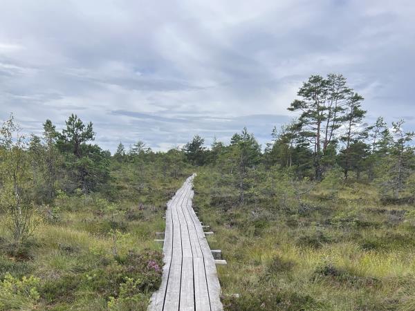 Estonia wellness vacation