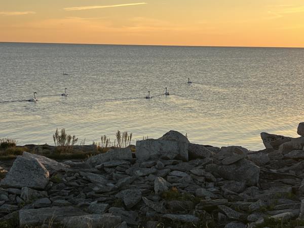 Estonia wellness vacation