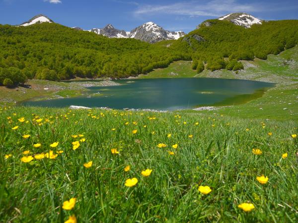 Italy wildlife vacation, Abruzzo