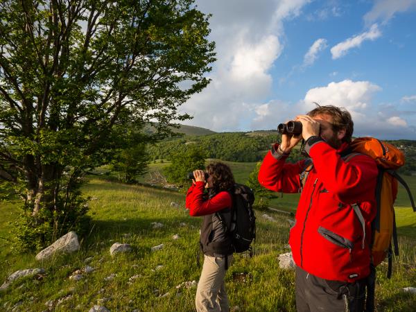 Italy wildlife vacation, Abruzzo