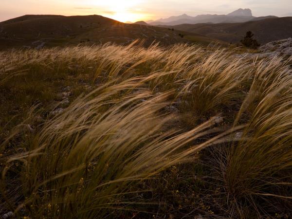Italy wildlife vacation, Abruzzo