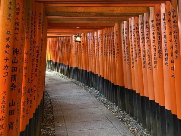 Essential Japan family tour, 8 days 