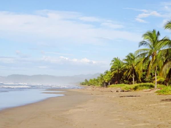 Turtle conservation vacation in Costa Rica