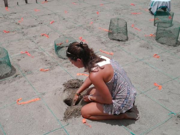Turtle conservation vacation in Costa Rica
