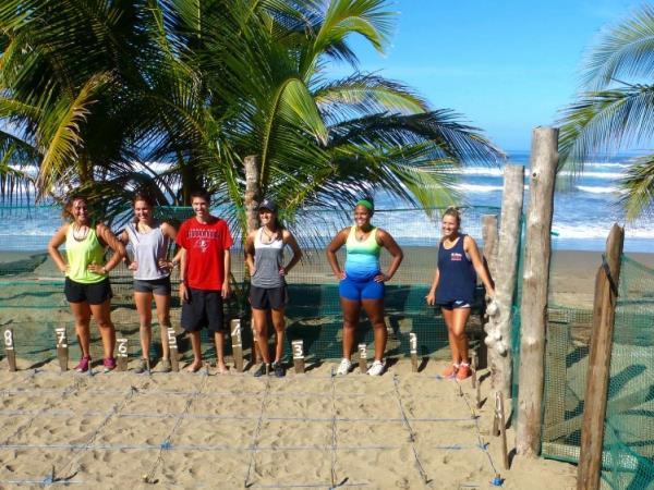 Turtle conservation vacation in Costa Rica