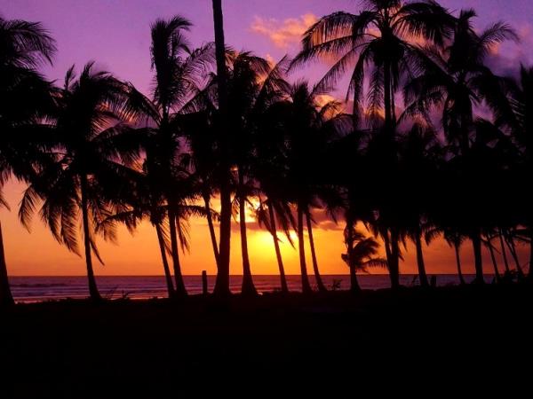 Turtle conservation vacation in Costa Rica