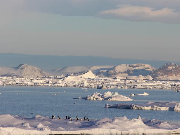 Antarctica, South Georgia & Falklands luxury cruise