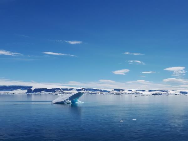 Antarctica, South Georgia & Falklands luxury cruise