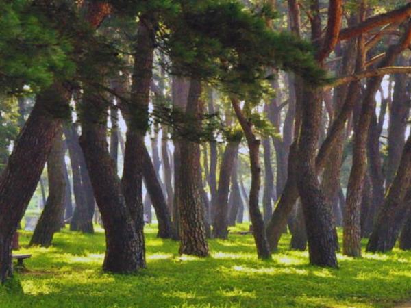 Southwest Korea tour, culture and coast