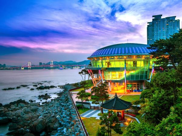 Premium Korea tour, Seoul to Busan
