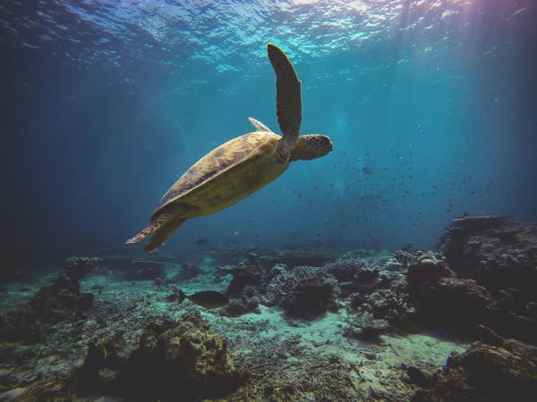 Malaysia tours, rainforests and beaches