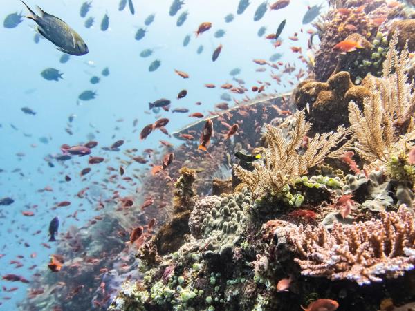 Indonesia luxury adventure vacation