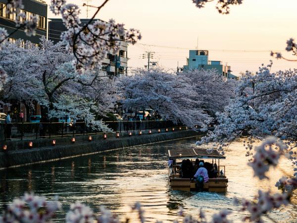 Japan guided luxury adventure vacation