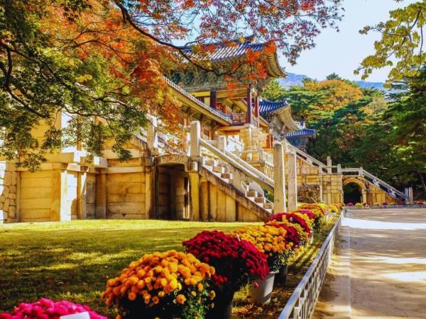 Korea small group 9 day tour