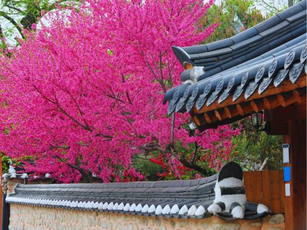 South Korea 11 day tour with Jeju