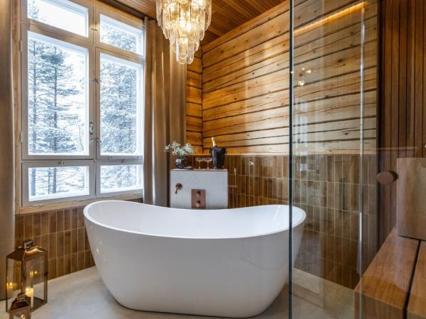 Christmas in Swedish and Finnish Lapland vacation