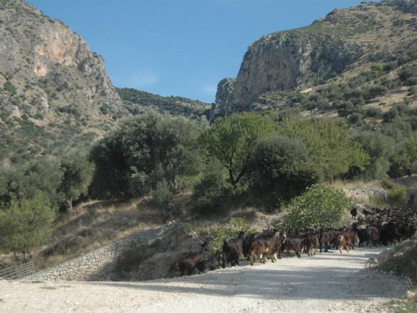 Puglia and Matera easy walking vacation