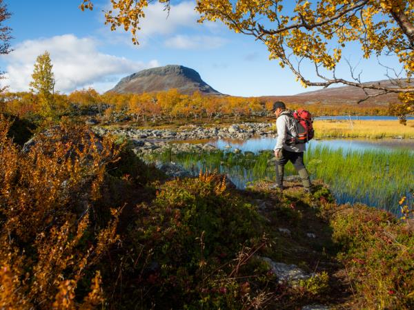 Luxury Lapland wilderness vacation